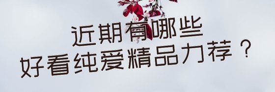近期有哪些好看纯爱精品力荐？